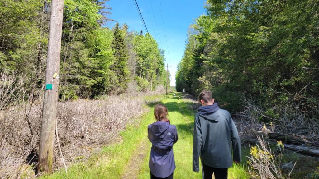 Two kids walk down a grassy trail