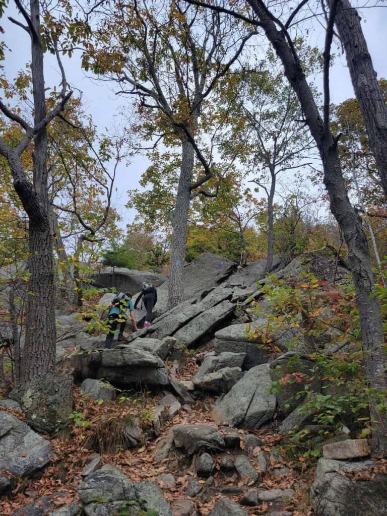 Large boulders sit along the Popolopen Torne Trail