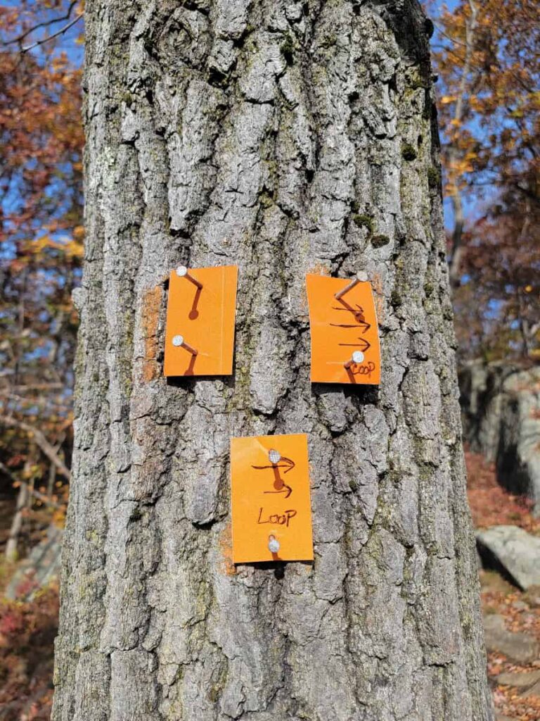 Orange trail markers have arrows directing hikers on the Storm King Mountain Loop