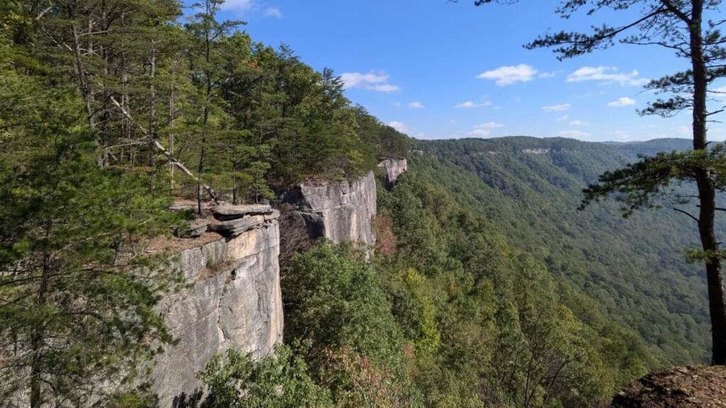 View of the Endless Wall of rocks at New River Gorge National Park