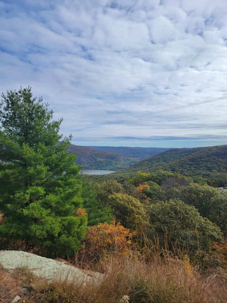 A view of the Hudson River with fall foliage in the foreground
