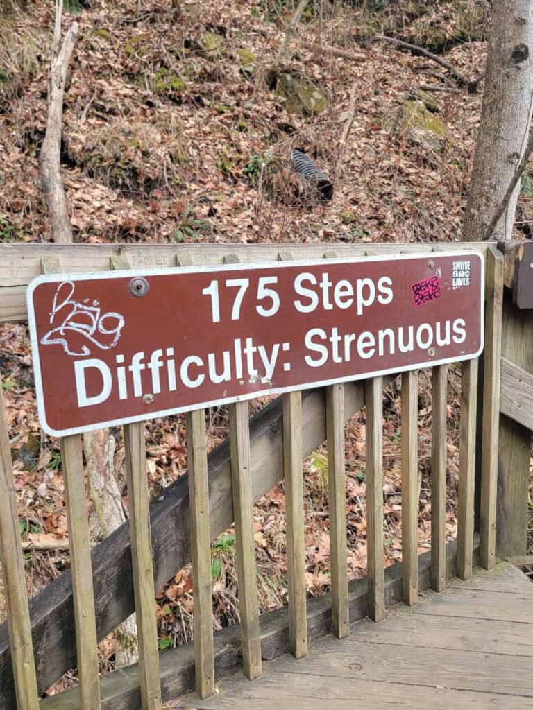A brown sign along the  Amicalola Falls hike reads "175 steps Difficulty: Strenuous"