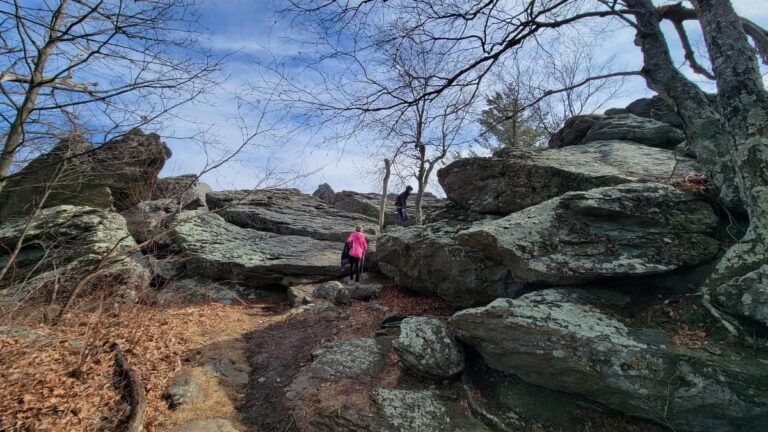 A girl wearing a pink sweatshirt starts to climb large boulders at Chimney Rocks Overlook