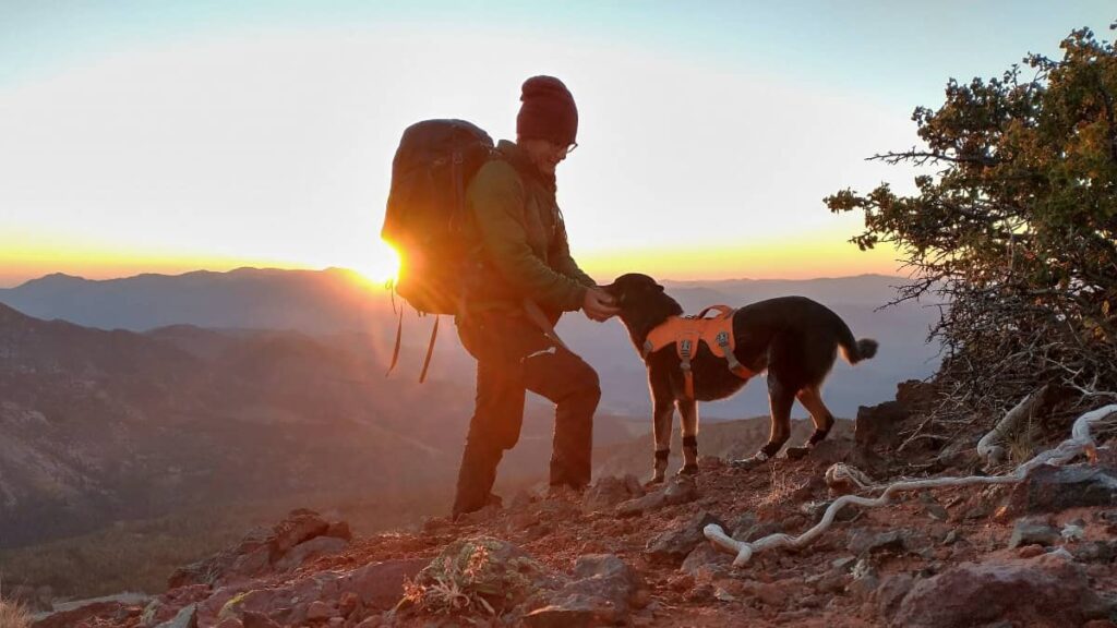 A woman and her lab dog stand on a mountainside with the sun setting in the background
