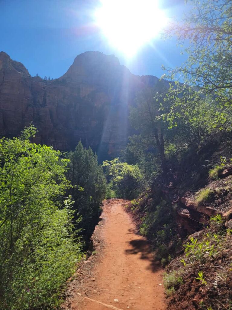 A flat dirt trail wanders through desert flora with canyon walls in the distance