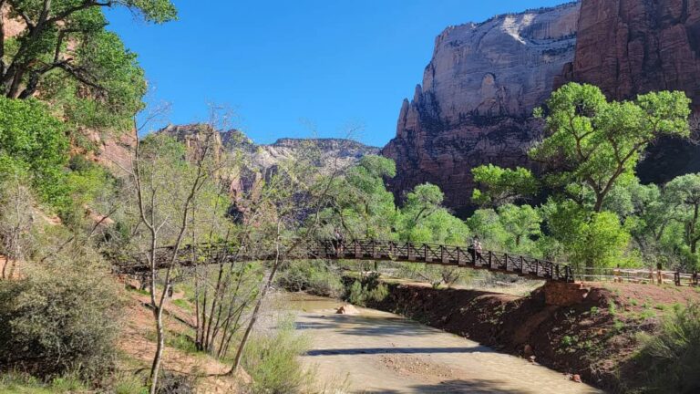 a view of the Virgin River and Zion Canyon from the overlook on the Middle Emerald Pools Trail