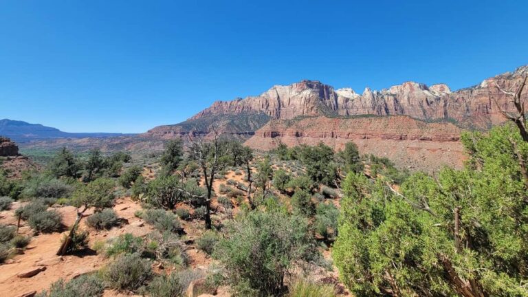 Looking out over lower Zion Canyon from Watchman Trail