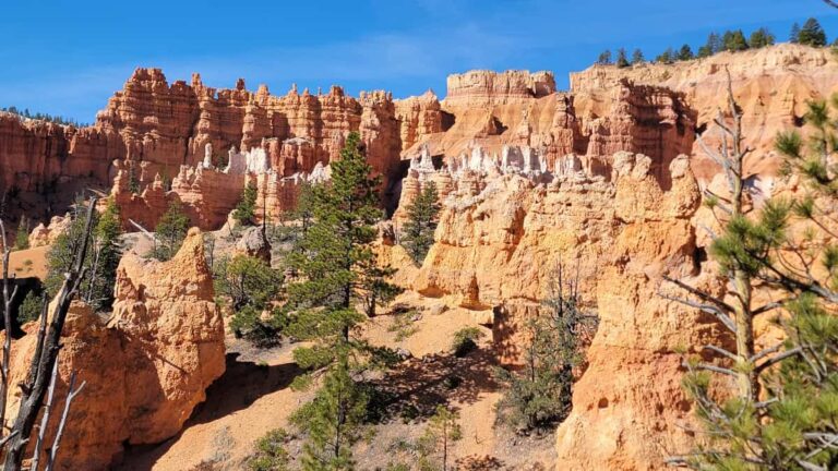 Looking out over red and cream colored sandstone hoodoos at Bryce Canyon