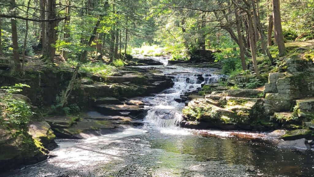 Looking at Little Falls in Promised Land State Park on a summer day