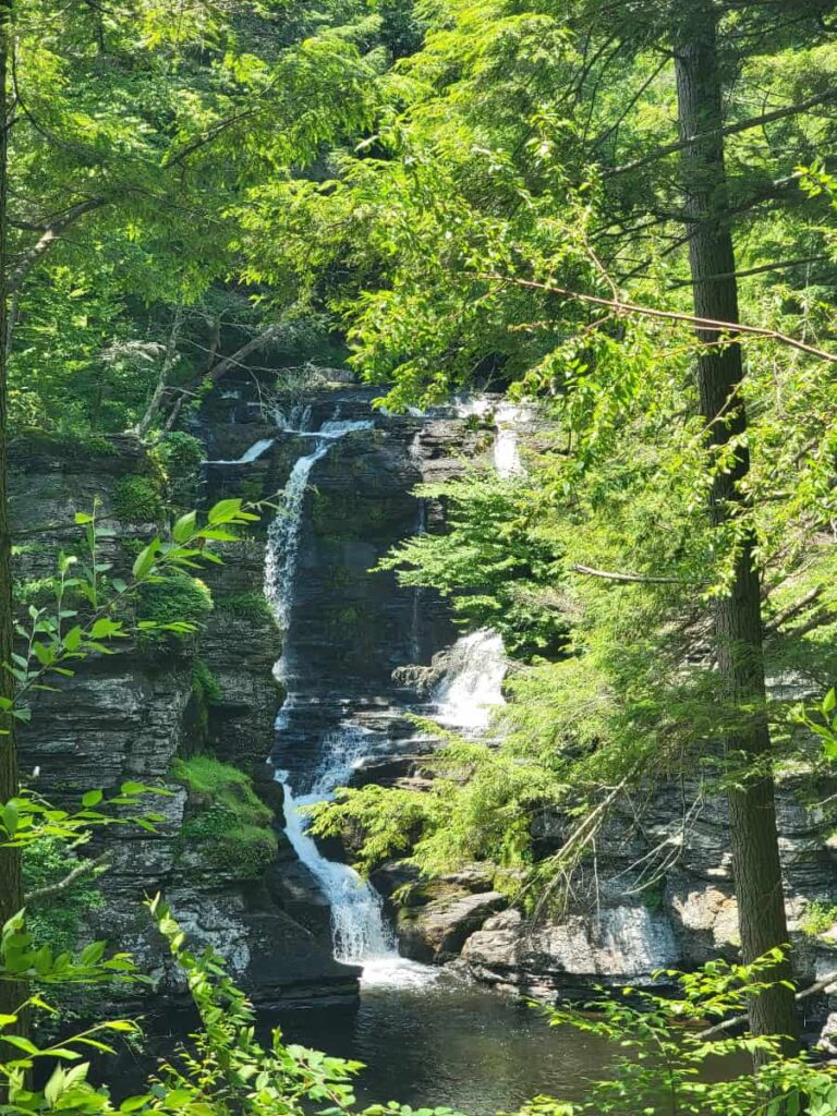 Looking down at Fulmer Falls through the trees at George W Childs Park