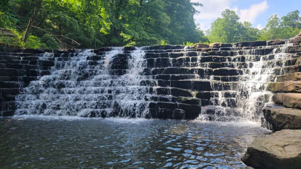 Looking at the Jones Mill Run Dam during mid-summer