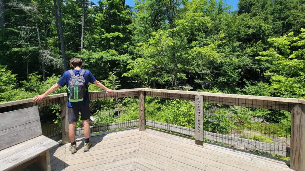 A teen boy looks over a railing at Factory Falls at George W Childs Park