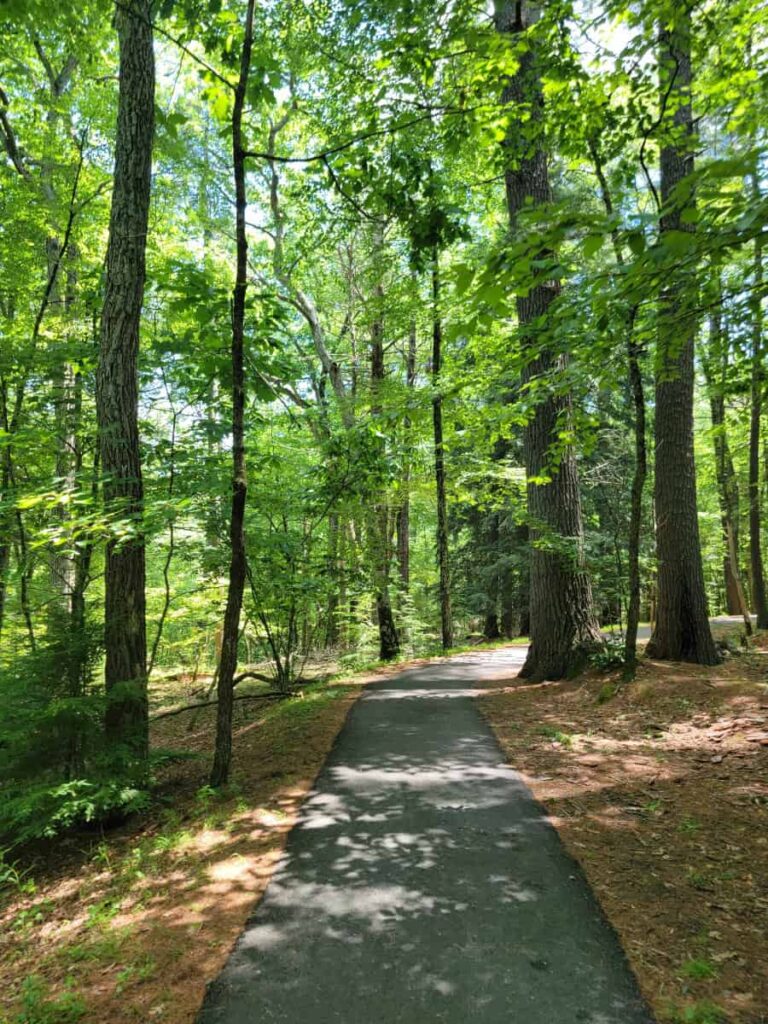 A paved trail leads through the woods at George W Childs Park