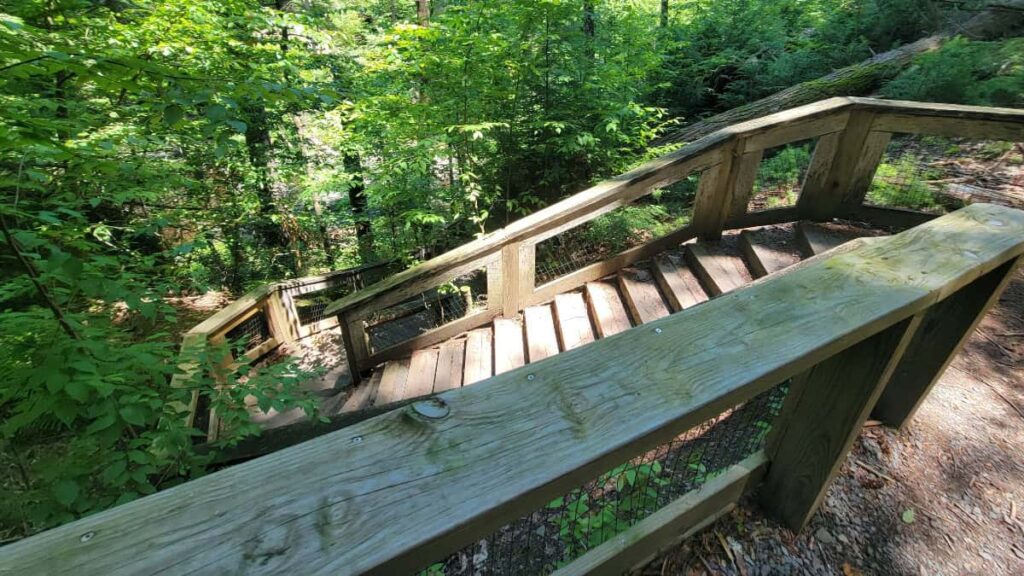 Looking down a set of wooden stairs at George W Childs Park