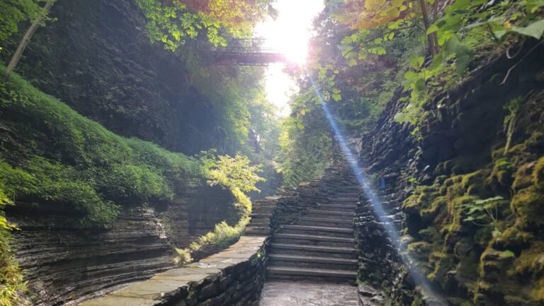 Looking at a set of stone steps in the Watkins Glen Gorge