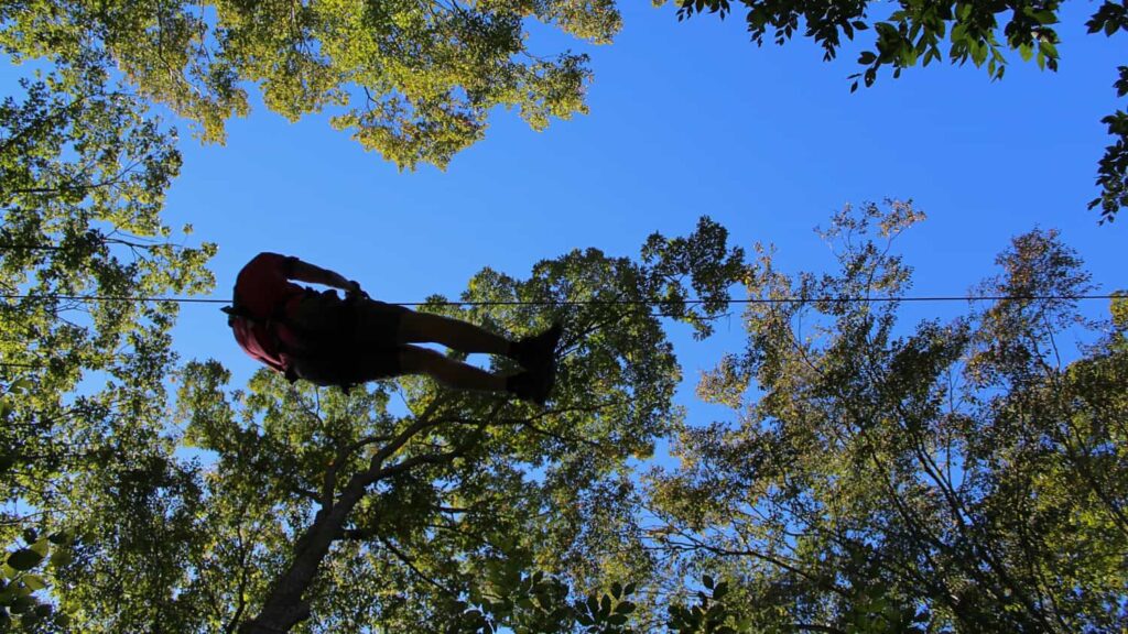Looking up as a man ziplines through the tress h