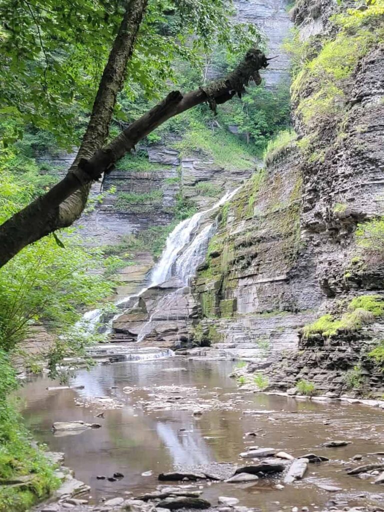 you can see the bottom of Lucifer Falls from the rim trail at Robert H Treman