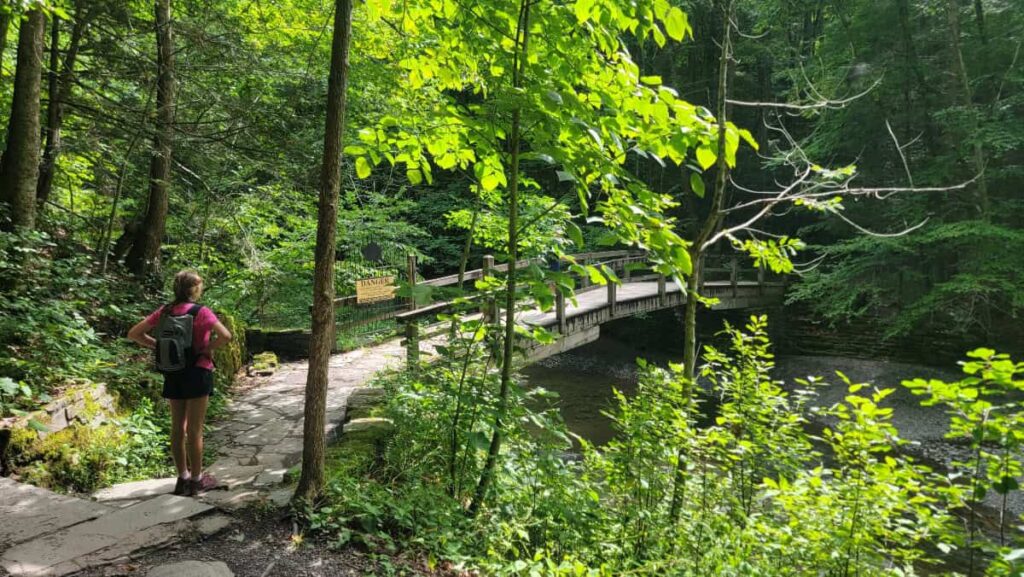 A bridge crosses Enfield Creek at Robert H Treman