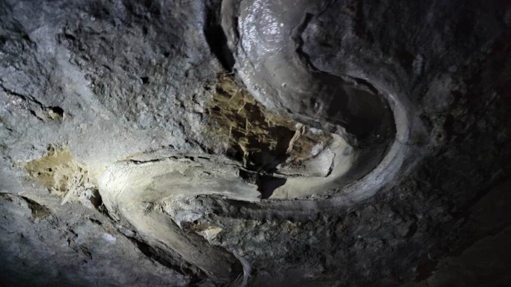 Fossilized water is seen on the "ceiling" of the abandoned mine