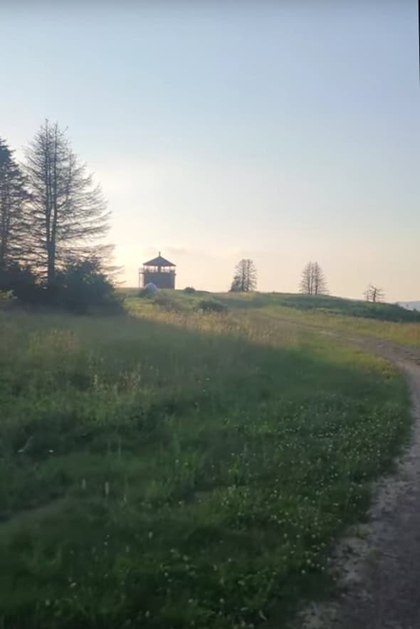 Looking at the observation tower from the trail to the scenic view at Laurel Hill State Park