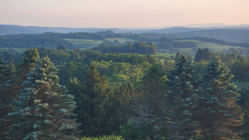 Looking out over blue/green trees at sunset in the Laurel Highlands
