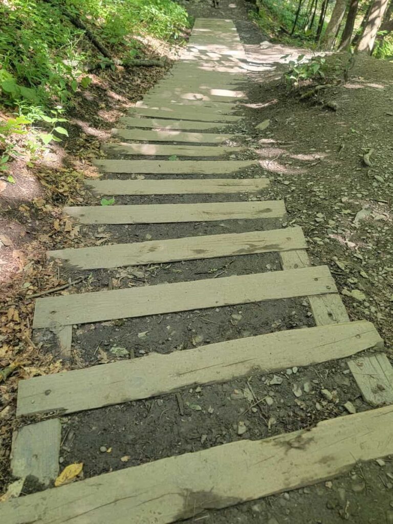 A set of wood and dirt steps is found on the gorge trail