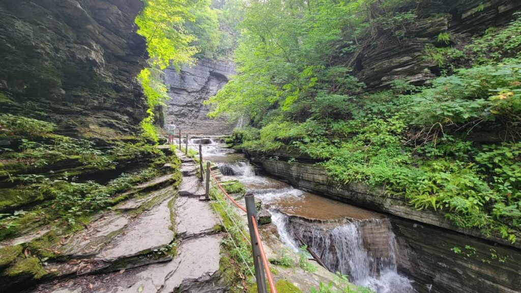 stones form a path on the way to eagle cliff falls