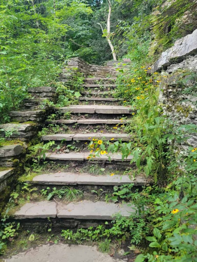 stone steps are found along the rim trail at Robert H Treman State Park