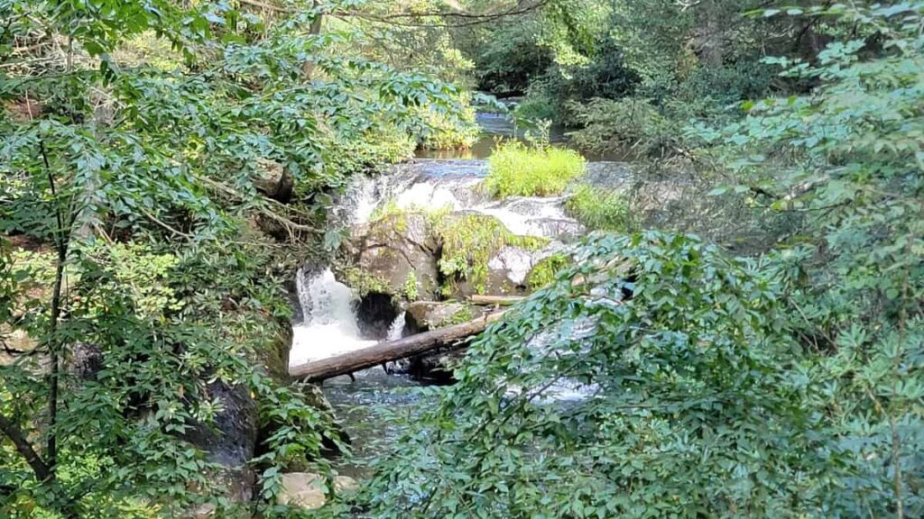 Looking at Wild Creek Falls at Beltzville State Park through the trees