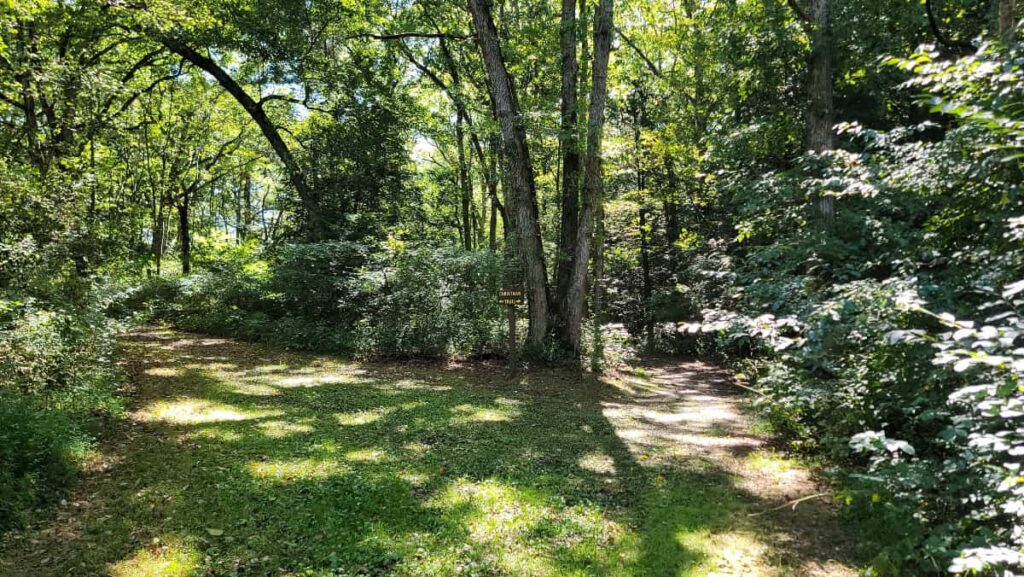 Two trails split from the Christman Trail in Betlzville State Park