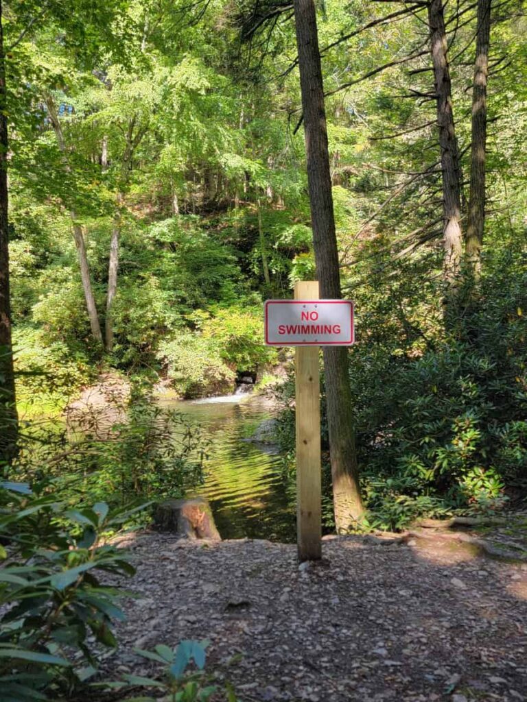 A sign reads "no swimming" near Wild Creek Falls