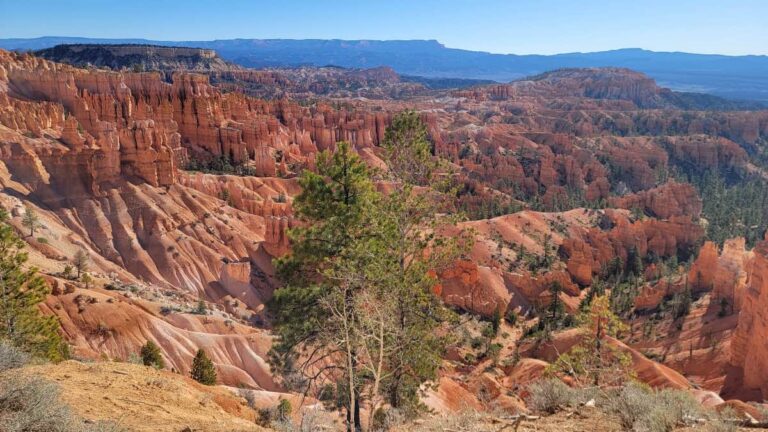 Looking out over the amphitheater at Bryce Canyon from the Rim Trail