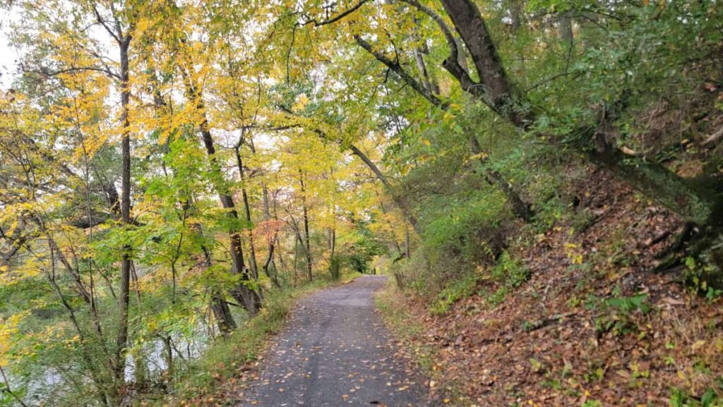 The west side of the Covered Bridge Trail at Trexler Preserve