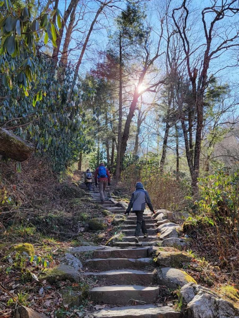 Hikers climb up stone steps on the Chimney Tops Trail in Great Smoky Mountains National Park