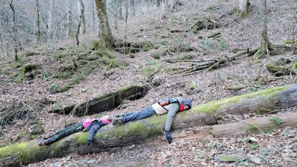 Two kids lay along a fallen tree trunk on the Chimney Tops Trail