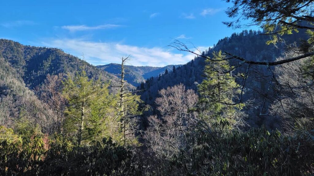 looking towards Mount Mingus on the Chimney Tops Trail